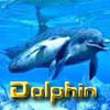 Аватар для Dolphin